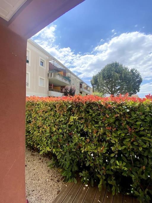 Lou Cameou Marseillan (Herault) Zewnętrze zdjęcie